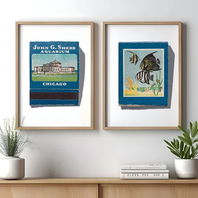 Shedd Aquarium, front and back